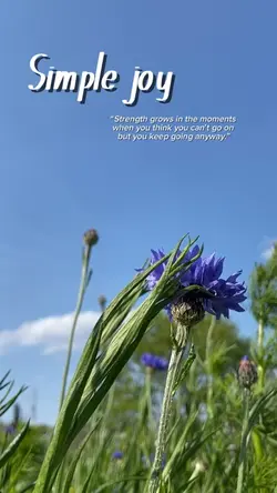  DayInMyLife video