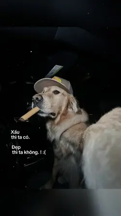 Cap1ảnh