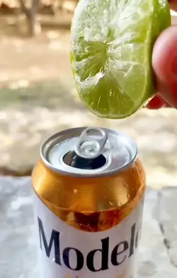 Peda,peda,peda!