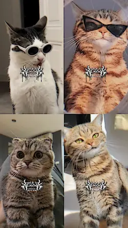 4ช่อง เพลงจีน