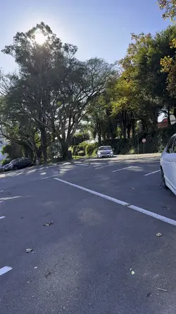 Nova música 