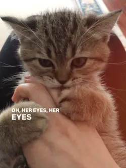Oh Her Eyes