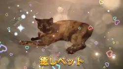 癒しペット
