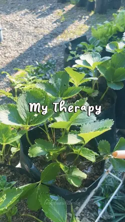 Garden Time Therapy