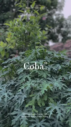 Coba coba jalanin 