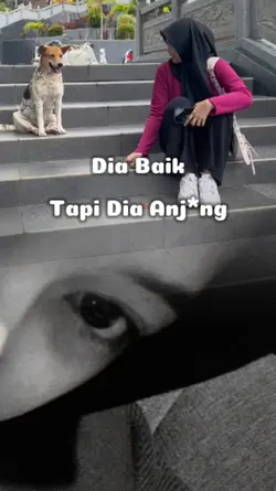 story harian