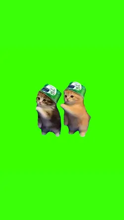 kitty dancing meme 