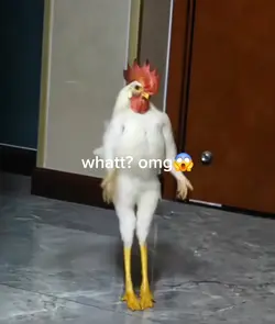 chicken dance?