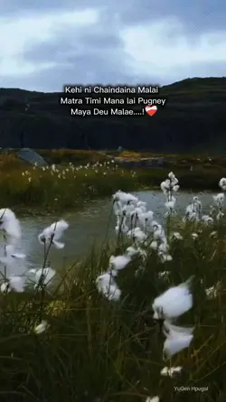 Kehi ni Chaindaina 