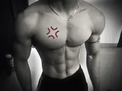 gym filters