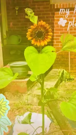 Gardening