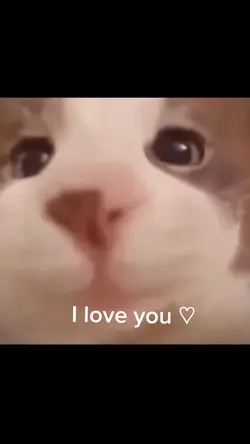 I love you 