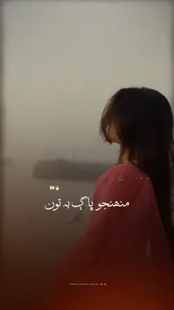 fozia somroo Song 