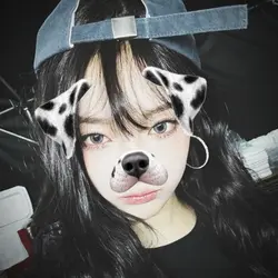 dog filter