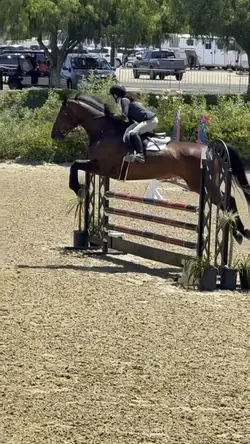 Equestrian edit🤩⚠️AI‼️