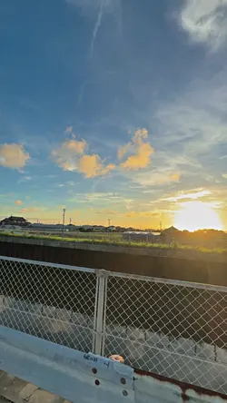 1VID FILTER IP