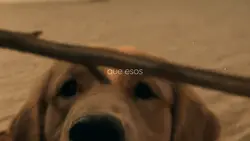 Mi querido amigo 