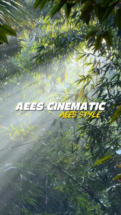 AEES CINEMATIC