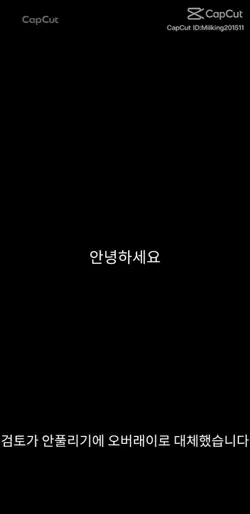공론화퍼트리기