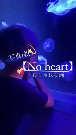 写真1枚でおしゃれ動画💫