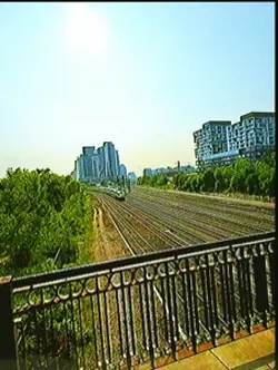 Toronto and effects