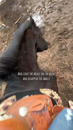 ❤️❤️
