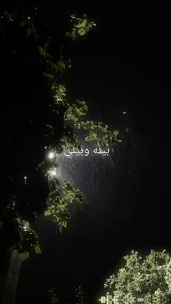 🎶🎧