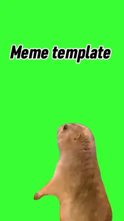 Chocked hamster