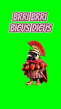 brri brri bicus dicu