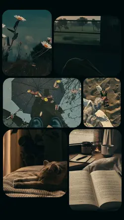 Aesthetic Frame
