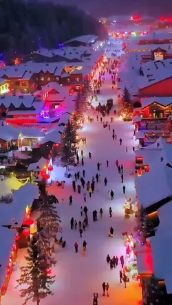 winter christmast 
