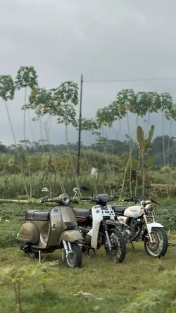 cinematic hd