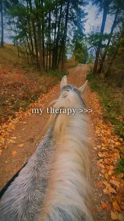 my therapy 🧡