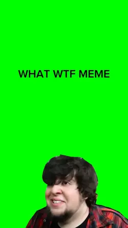 What wtf meme