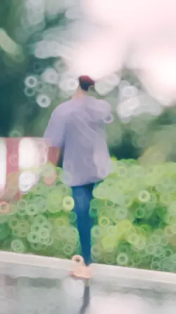 slow motion video hd