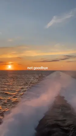i hate goodbye