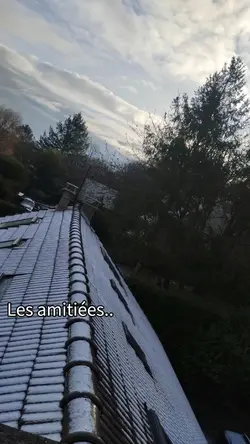les amitiées 