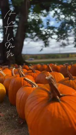 Autumn 🍁