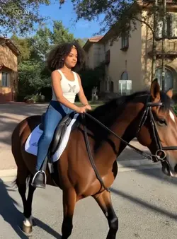 Ai Riding Horse 