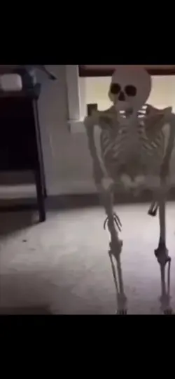 Skeleton fall meme 💀