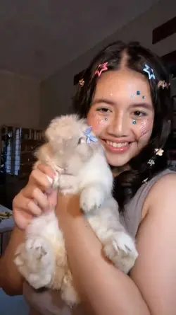 TRANSISI MAKEUP 