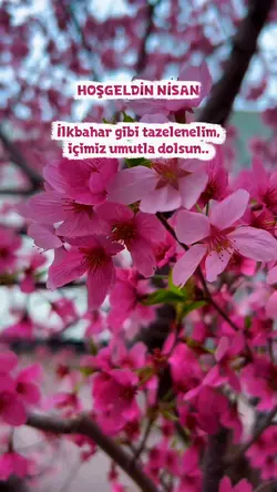 nisan ayı şablonu 