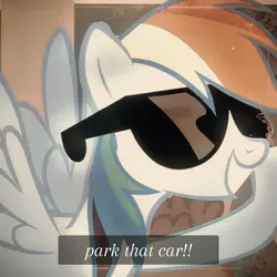 park that car!!