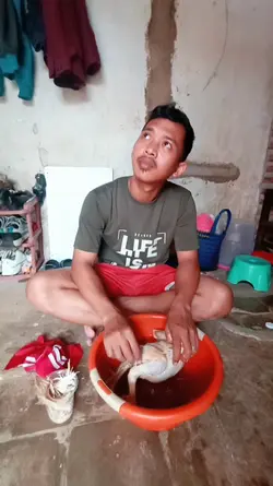 saya akan lawan