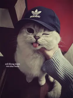 MẪU LYRICS STORY MÀU