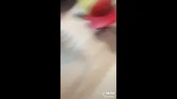 Sparta Remix V2
