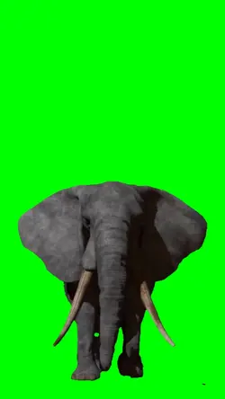 gajah
