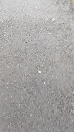 Flaggen trend