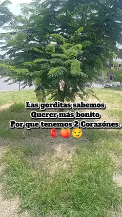 2 corazones 