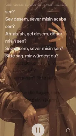 mudi 